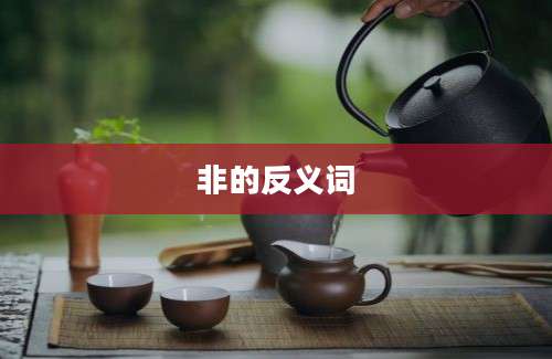 非的反义词