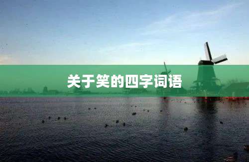 关于笑的四字词语