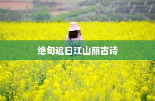 绝句迟日江山丽古诗