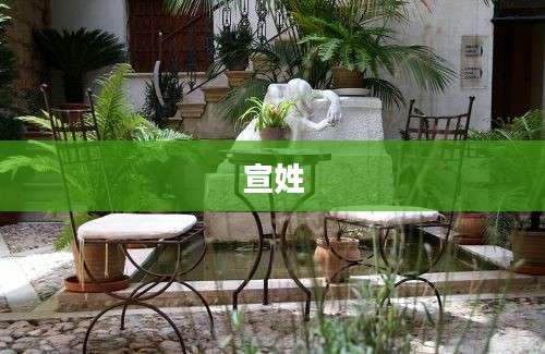 宣姓