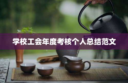学校工会年度考核个人总结范文
