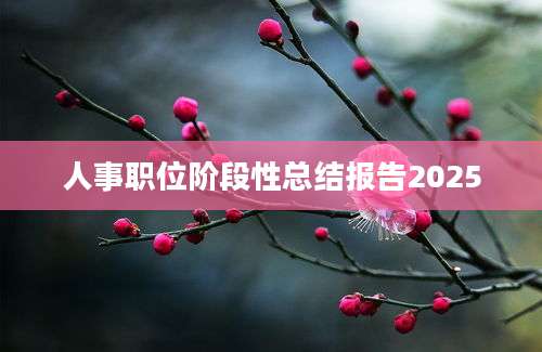 人事职位阶段性总结报告2025