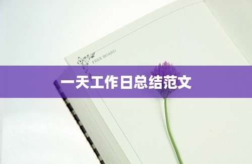 一天工作日总结范文