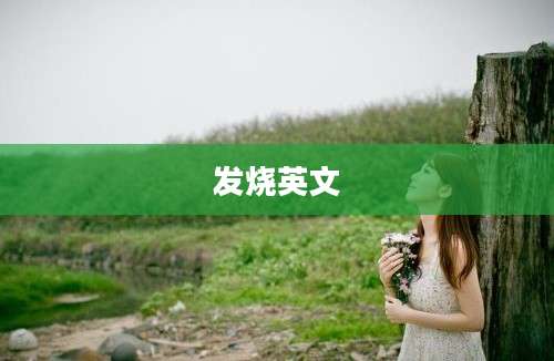 发烧英文