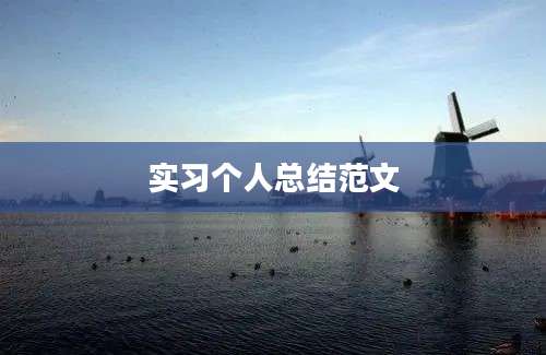 实习个人总结范文