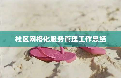 社区网格化服务管理工作总结