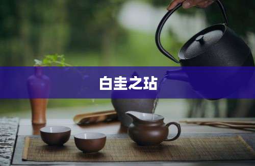 白圭之玷