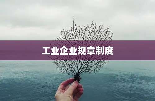 工业企业规章制度