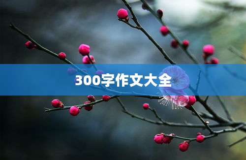 300字作文大全