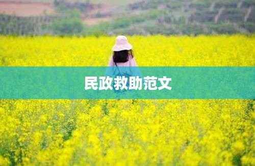 民政救助范文
