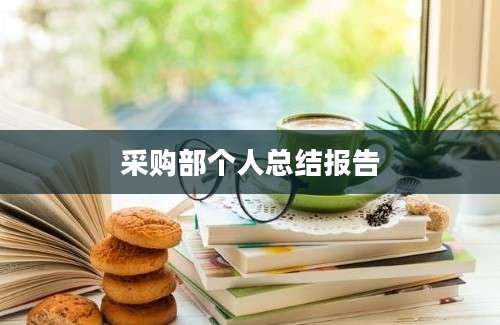 采购部个人总结报告