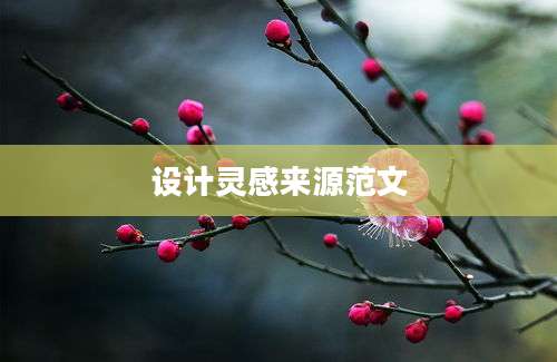 设计灵感来源范文
