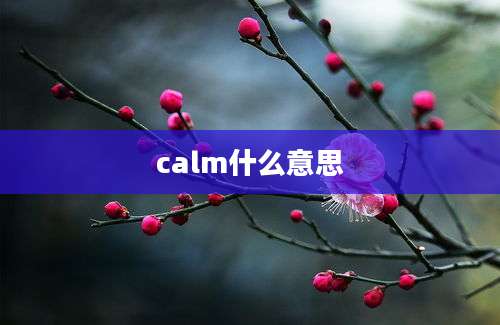 calm什么意思