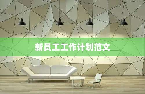 新员工工作计划范文