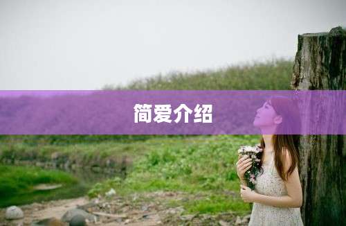 简爱介绍