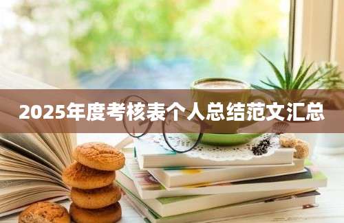 2025年度考核表个人总结范文汇总