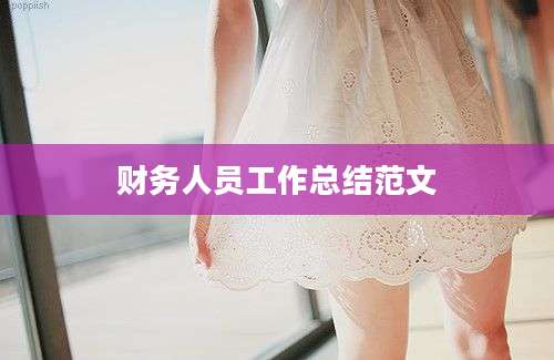 财务人员工作总结范文