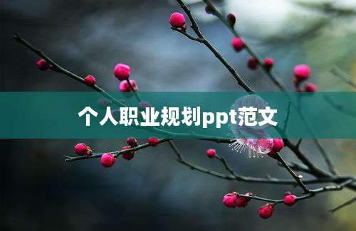 个人职业规划ppt范文