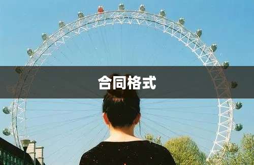 合同格式