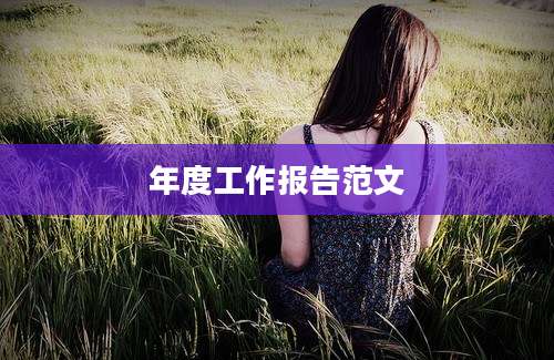 年度工作报告范文