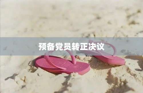 预备党员转正决议