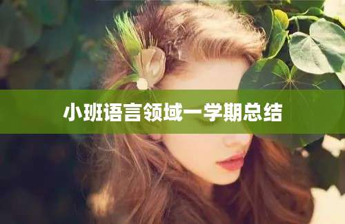 小班语言领域一学期总结