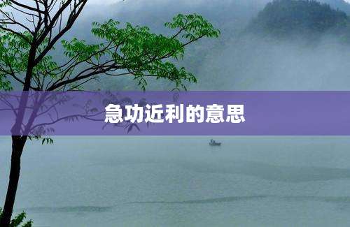 急功近利的意思