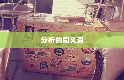 分析的同义词
