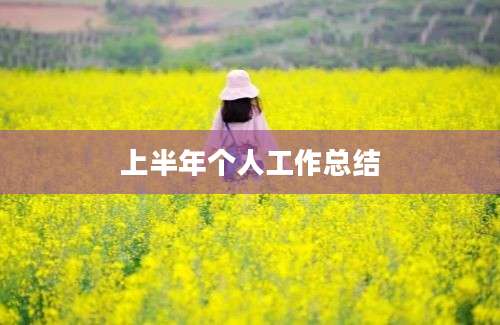 上半年个人工作总结