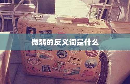 微弱的反义词是什么