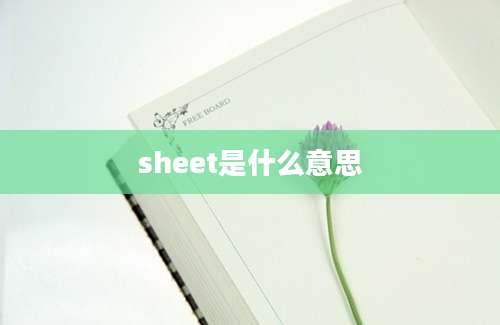 sheet是什么意思