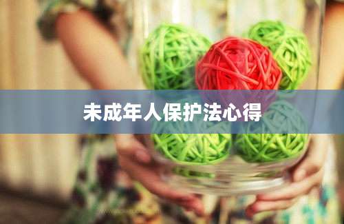 未成年人保护法心得
