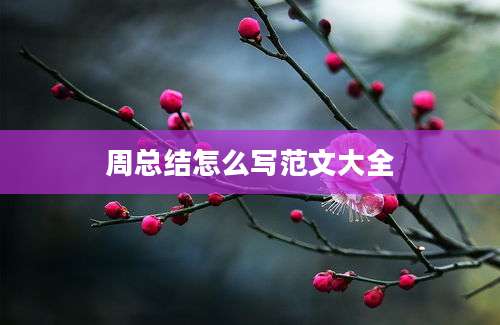 周总结怎么写范文大全