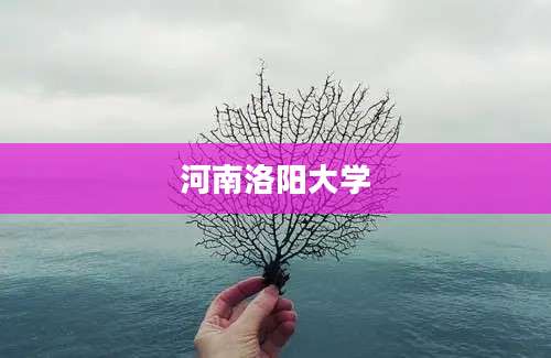 河南洛阳大学
