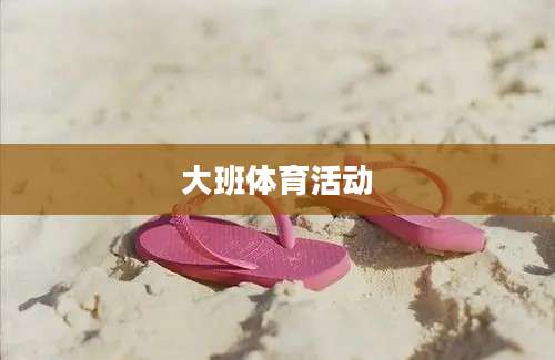 大班体育活动