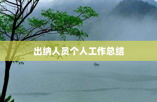 出纳人员个人工作总结