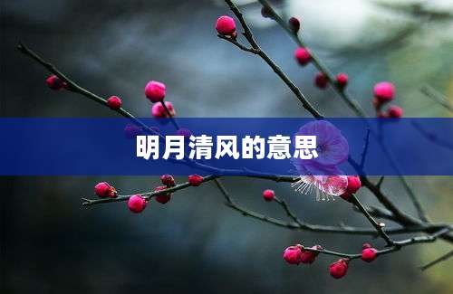 明月清风的意思
