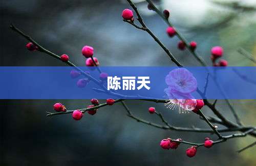 陈丽天