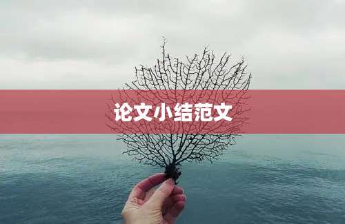 论文小结范文