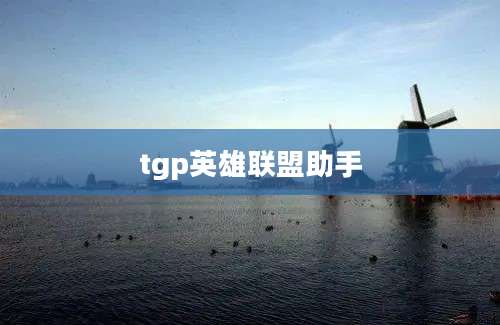 tgp英雄联盟助手