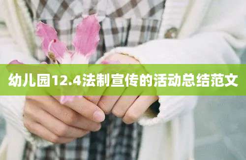 幼儿园12.4法制宣传的活动总结范文