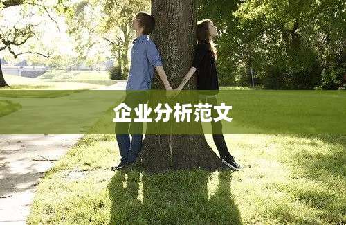 企业分析范文