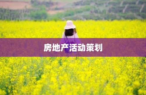 房地产活动策划