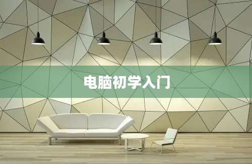 电脑初学入门