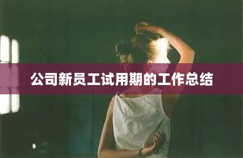 公司新员工试用期的工作总结