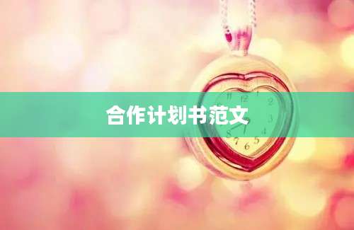 合作计划书范文