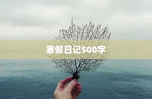 寒假日记500字