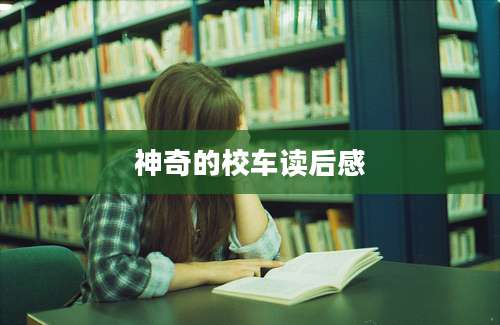 神奇的校车读后感