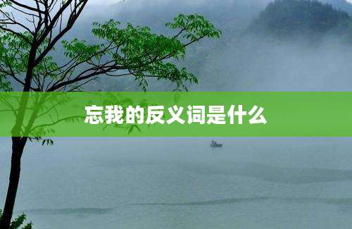 忘我的反义词是什么