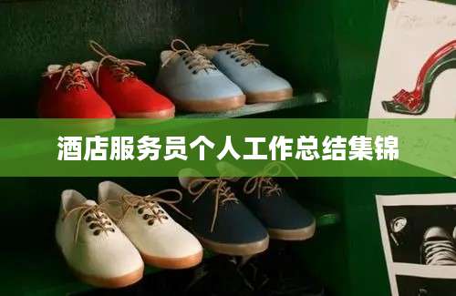 酒店服务员个人工作总结集锦